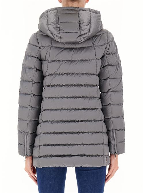  COLMAR | 2233 2YO/506
